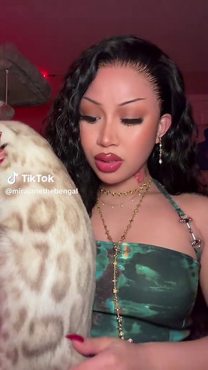 Bengal Cats in Snow: Heartwarming Moments to Cherish