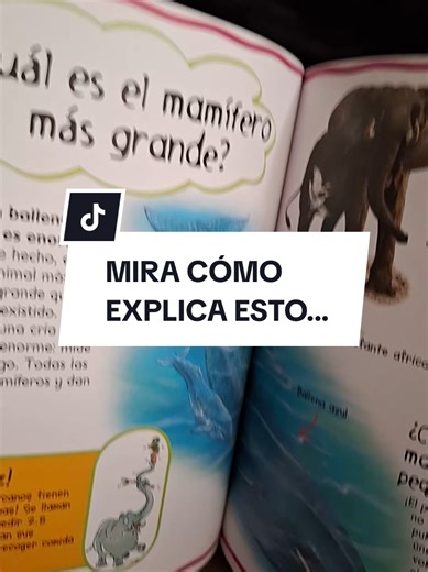 Enciclopedia infantil de Mi primer libro de preguntas y respuestas. Aprenden de una forma muy visual. #enciclopedia #libros #kids #preguntasyrespuestas #fyp