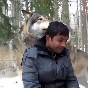 45K views · 614 reactions | Zagrljaji koji cijenu nemaju | Narodni portal | Facebook