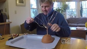 Mini Lighted Potted Tree