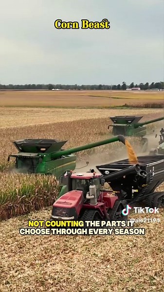 Meet the modern corn harvester — a 20-ton machine that cuts, shreds, and devours fields faster than an army of workers. #CornHarvester #FarmingMachine #HarvestSeason #usa#fyp