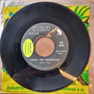 Bear - Under The Boardwalk