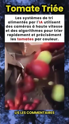 La technologie qui trie les tomates par couleur grâce à l'IA 🍅
