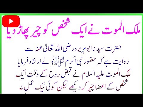 🌙 Divine Guidance | Quran & Hadith for Daily Inspiration & Faith 🌙