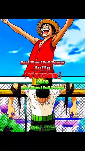 Luffy vs Zoro