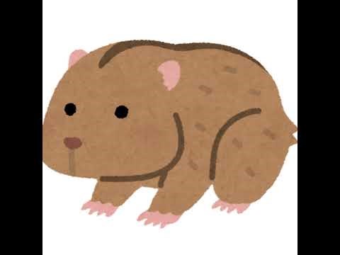 Lem-development: Handling Large YAML Files