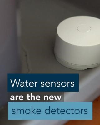 25 reactions · 64 shares | Water damage claims are more frequent than fire and theft claims combined. So, do you have water sensors yet? https://ow.ly/Tmt250UeSyc | The Hanover Insurance Group | Facebook