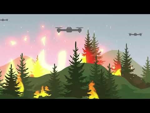 Wildland Firefighter Training 101