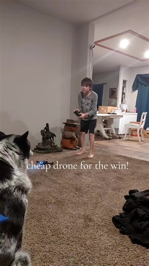 Lyssa (@alyssabrown051)’s videos with original sound - Lyssa