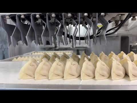 Robot Auto Loader for Gyoza Machine