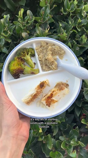 Best Fish for Babies to Eat: A Guide by The Baby Dietitian