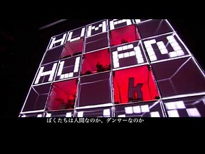 The Killers - Human 和訳