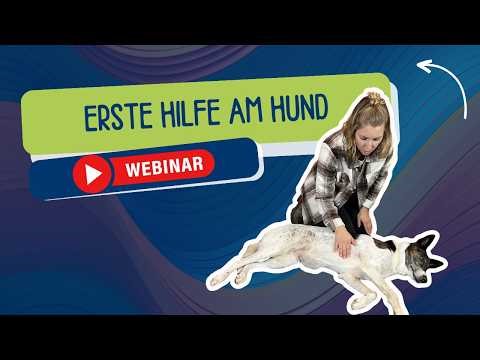Webinar-Vorschau: Erste Hilfe beim Hund