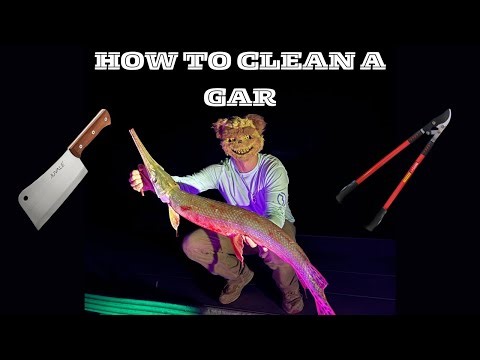 How to Clean a Longnose Gar the Easy Way (Step-By-Step)