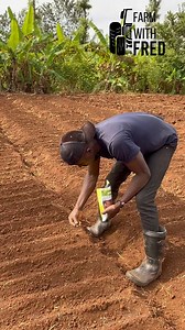 4.4K views · 5.6K reactions | Sowing onions seeds | Farm With Fred | Facebook