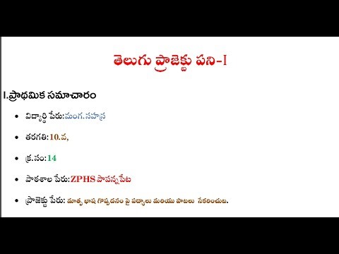 MN info తెలుగు ప్రాజెక్ట్ పని/ TELUGU PROJECT WORK