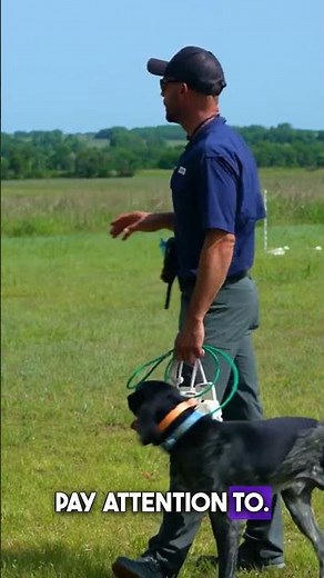 Understanding Back Casting Techniques