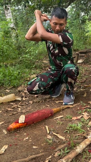 Tutor cara yang salah belah buah merah endemik Papua #tni #papua #videoshort #buahmerah #fyp