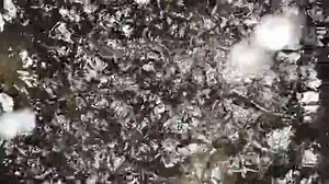 水面に落ちる水滴の動画｜無料の動画素材サイト「動画AC」