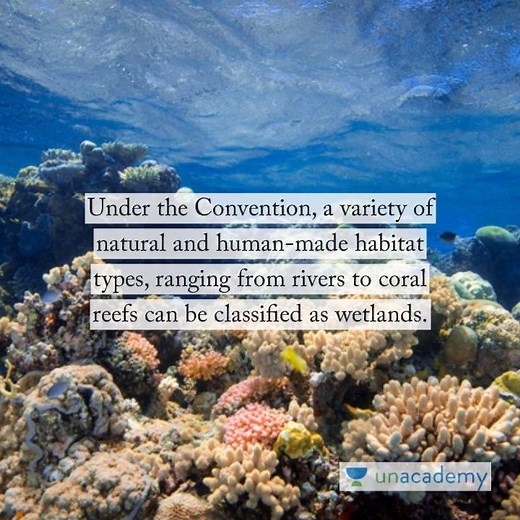 27K views · 473 reactions | The Ramsar Convention on Wetlands is an international treaty for the conservation and sustainable use of wetlands. Learn all about the convention and its importance through this video. #Unacademy #Education | Unacademy | Facebook