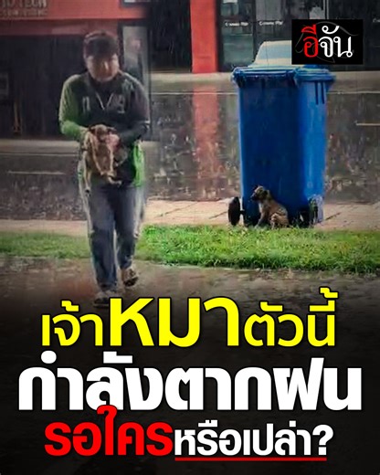 839K views · 44K reactions | โถลูก... เจ้าหมาน้อยน่าสงสาร...