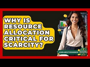 Why Is Resource Allocation Critical For Scarcity? - Learn About Economics