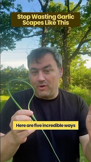 Stop Wasting Garlic Scapes! 5 Incredible Kitchen Hacks