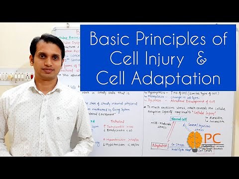 Cell Injury and Adaptation Pathology | Basics Principal of Cell Injury and Cell Adaptation