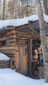 1.2M views · 10K reactions | Forest Paths on Reels | Facebook