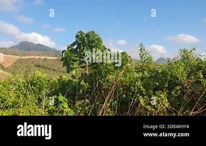 beautiful landscape with a mountain range