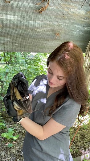 12K views · 60 reactions | The flight of the bats is one of my favorite events to witness in #Austin! 驪 #bats #travel #zoo #exotics #wildlife #rescue #conservation #animals #pets #nature #austinbats #biology #vet | Dr. Rachel, Exotic Pet Vet | Facebook