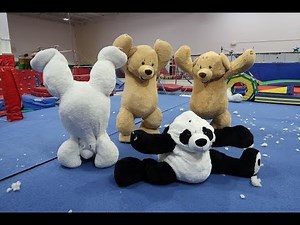 GYMNASTICS IN GIANT TEDDY BEARS!