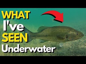 This CHANGED the Way I Fish a Drop Shot