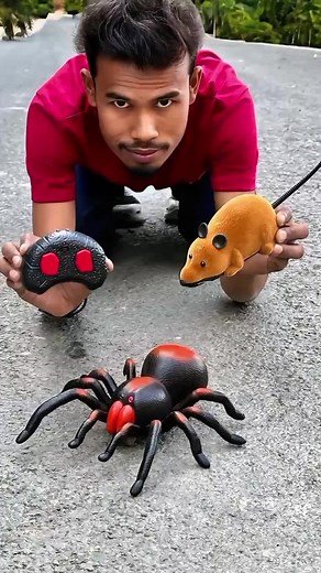 Rc Mouse vs Remote Control Spider Prank