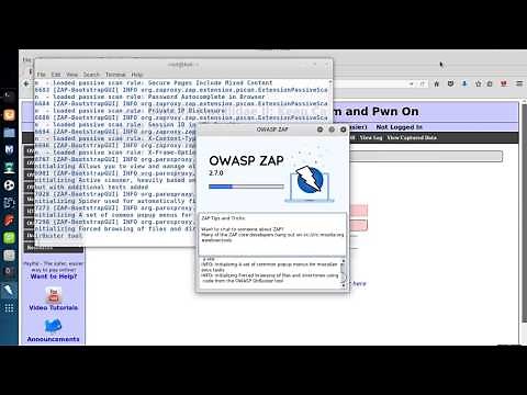 OWASP ZAP: Automated Web App Vulnerability Assessment (Entire Site)
