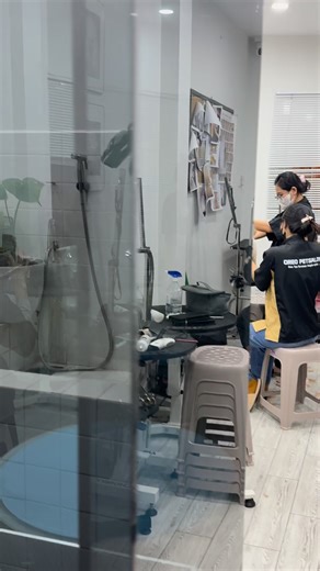 62K views · 1.6K reactions | Cá mồi 3 cô gái nè m.n | OREO PetSalon | Facebook