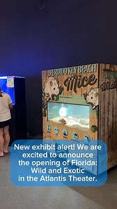 New exhibit alert! Clearwater Marine Aquarium is excited to announce the opening of Florida: Wild and Exotic in the Atlantis Theater. This exhibit showcases a variety of fascinating Florida native and exotic species, including amphibians, arthropods, reptiles and small mammals. Guests will have the opportunity to get up close to these fascinating species while learning insights on responsible pet ownership and the harrowing effects of the illegal pet trade. This exhibition is included in your ad