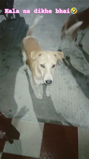 filter lagakar bnao#comedy #funny #jokes for search tag YouTube #viral #ambeybeautyparlour