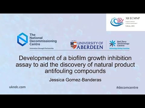 My WINNING presentation from an academic conference (ECMNP 21) | My PhD and Me