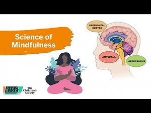Science of mindfulness