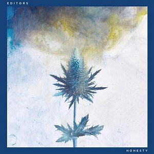 Editors - Honesty