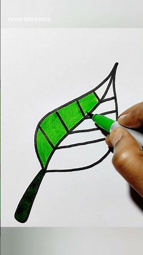 Leaf drawing - How to draw a leaf