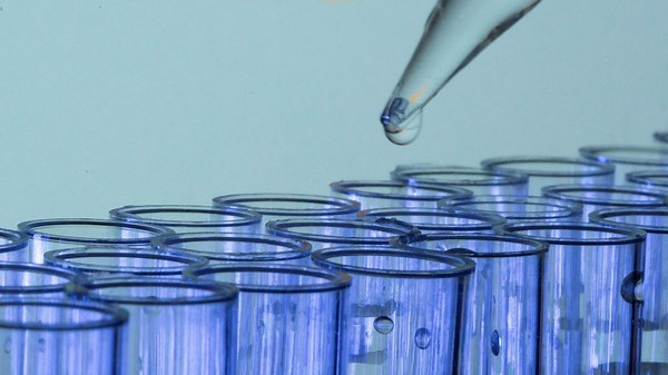 AI 'can predict over 1,000 diseases'