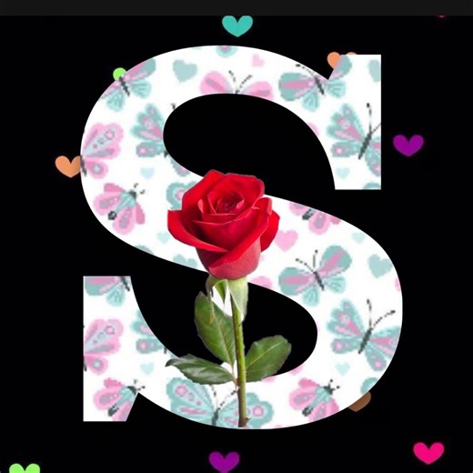 Charming roses on Reels