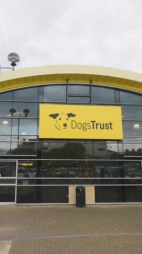 Struggling with unwanted dog behaviour? 🐶 Need advice? Give our FREE support line a call 📞 | Dogs Trust