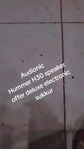 Audionic Hummer H30 Speaker Review: Deluxe Electronic Experience