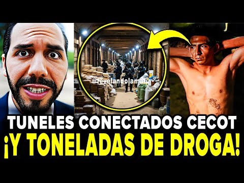 BUKELE CATEA los TÚNELES de "El Pánfilo" de la MS-13 tras su CAPTURA