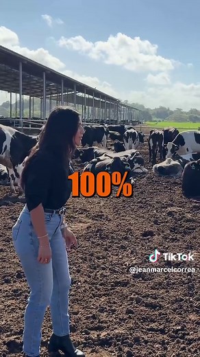 Indulac: El Proceso Millonario de la Leche UHT