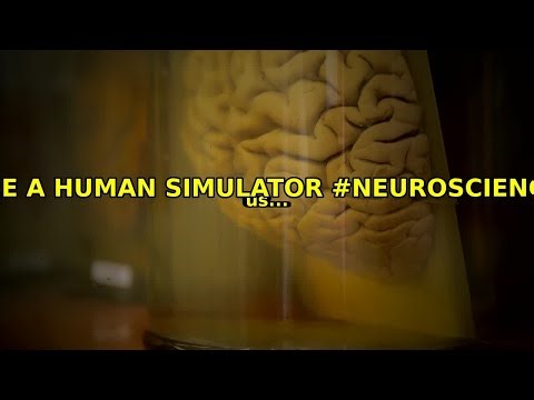 You're a Human Simulator #neuroscience #empathy #brain