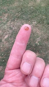 My Wife has Rockhounding SUPERPOWERS 🦸‍♀️😤 #rockhound #rockhunting #minerals #stones #rocks #geology #fossil #crystals #limestone #agate #lakesuperioragate #lsa #rockhounding #wisconsin #lakemichigan | OPE Rocks